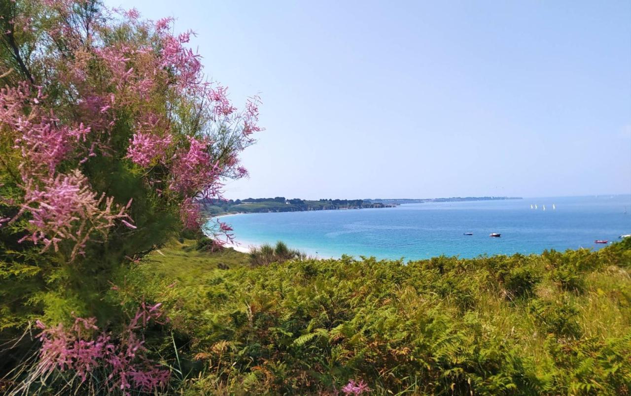 Les Maisons De Kerdavid'île Hébergement de vacances *