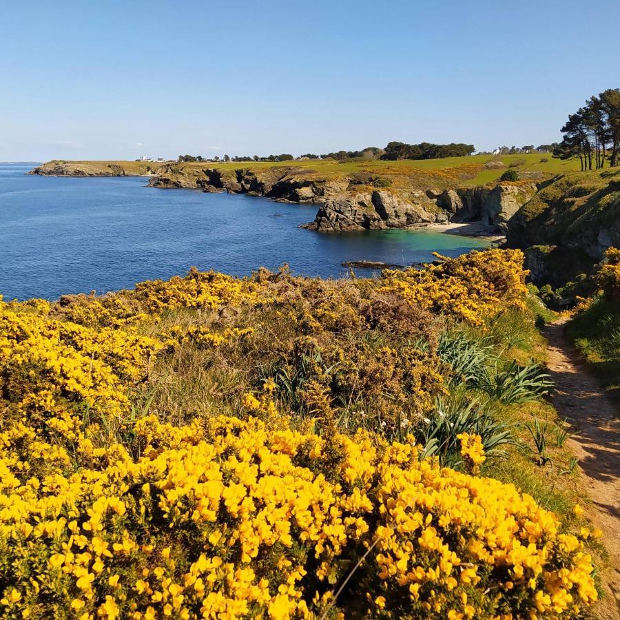 Les Maisons De Kerdavid'ile - Votre De Vacances A Belle Ile En Mer Holiday home Locmaria